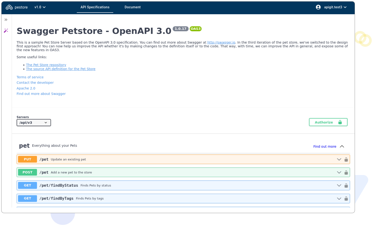 API Document swagger view