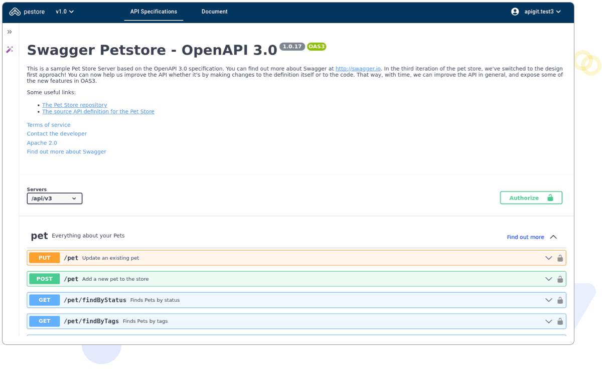 API Document swagger view